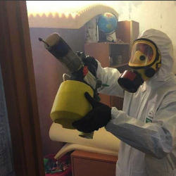 Уничтожение клопов в квартире. Минеральные Воды