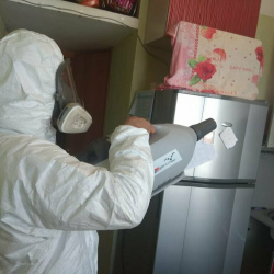 Уничтожение насекомых в квартире. Минеральные Воды